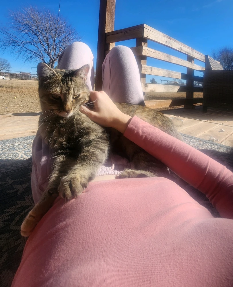 GIF uploaded by Alicia