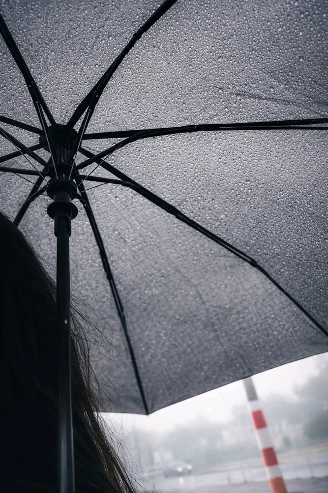 Image uploaded by Jannat Jahan