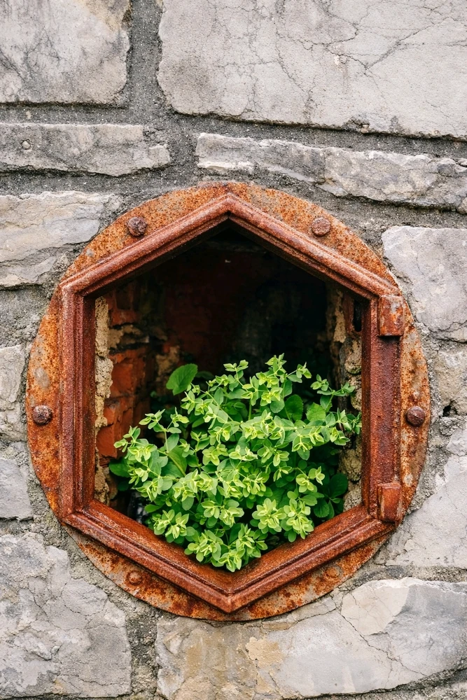 Image uploaded by Jannat Jahan