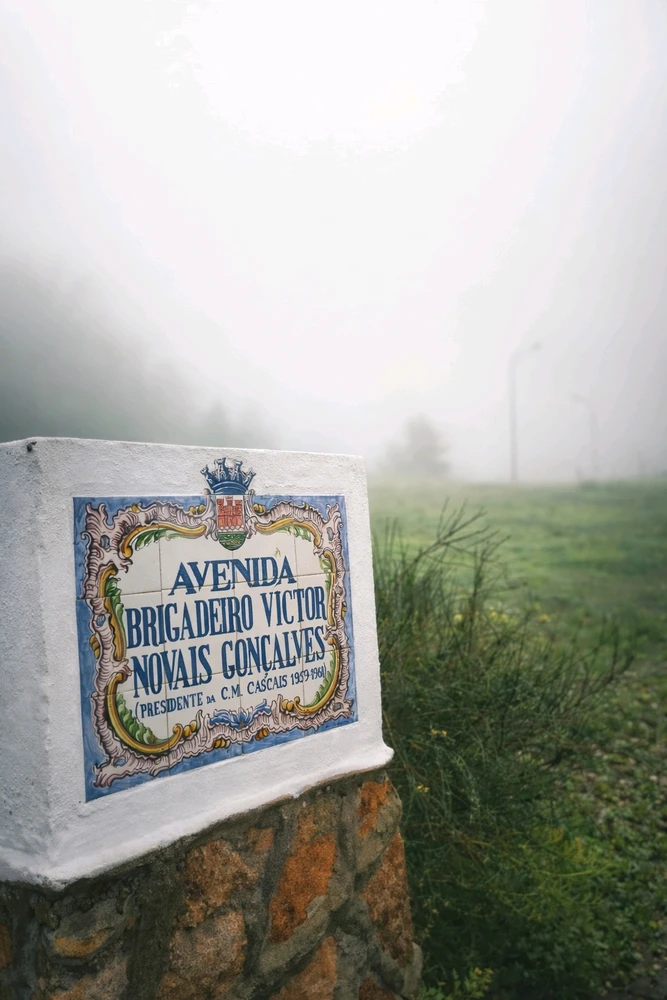 Image uploaded by Jannat Jahan