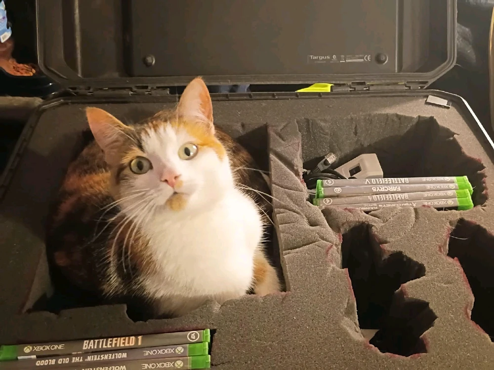 GIF uploaded by Ryana