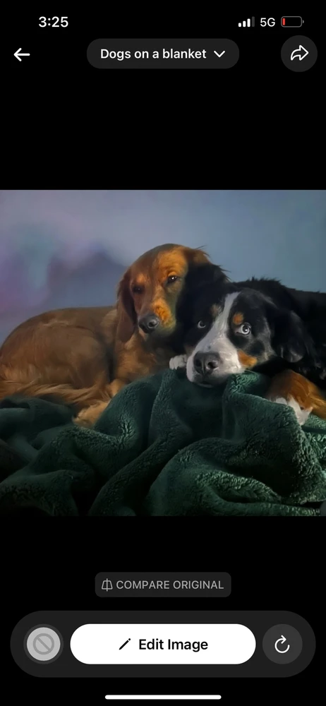 GIF uploaded by Kaylee