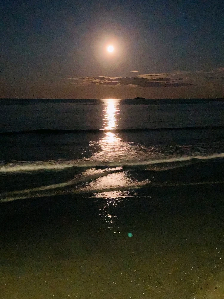 GIF uploaded by Thomas