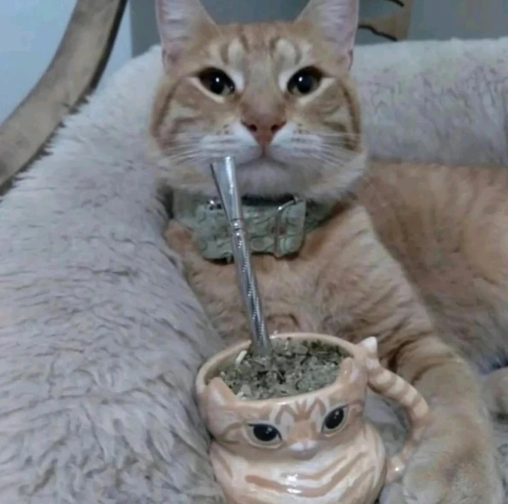 GIF subido por Benja