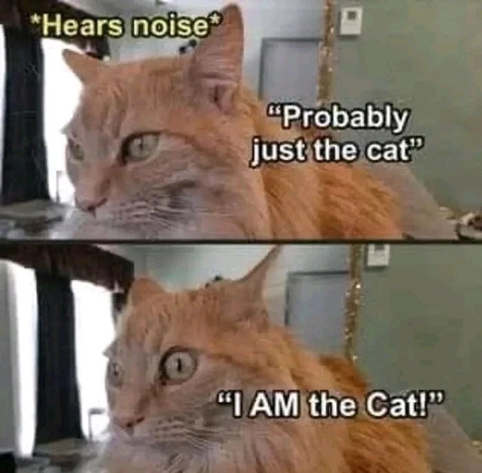 GIF uploaded by Andy