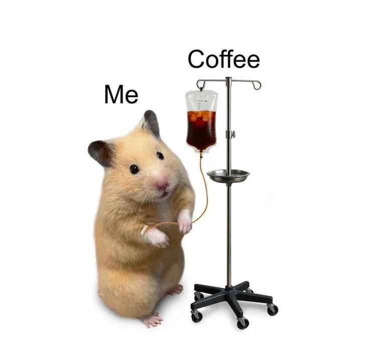 GIF uploaded by Melyn J.