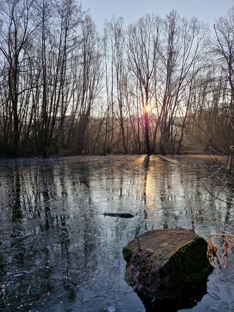 Bild hochgeladen von Laurence