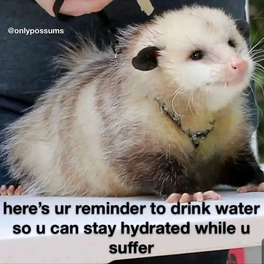 GIF uploaded by Anna