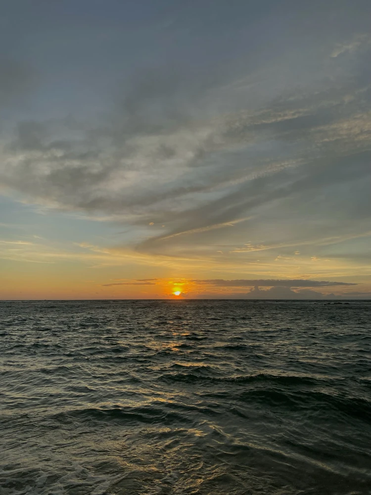 Gambar diunggah oleh anisa