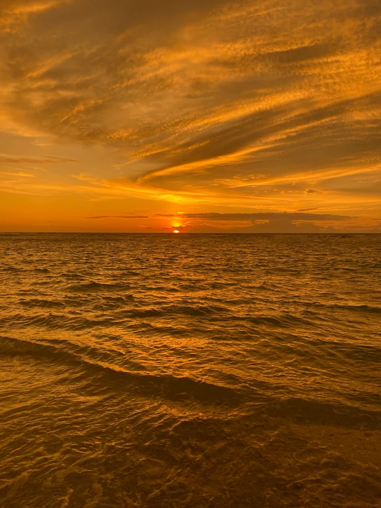 Gambar diunggah oleh anisa