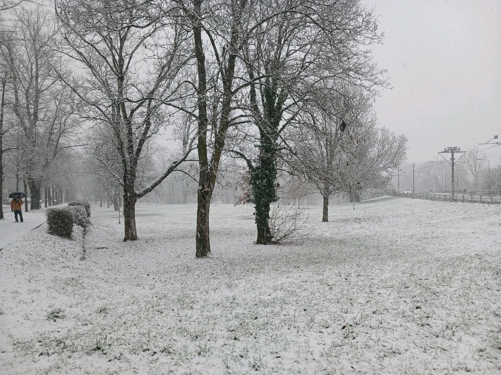 GIF uploaded by Jiulio