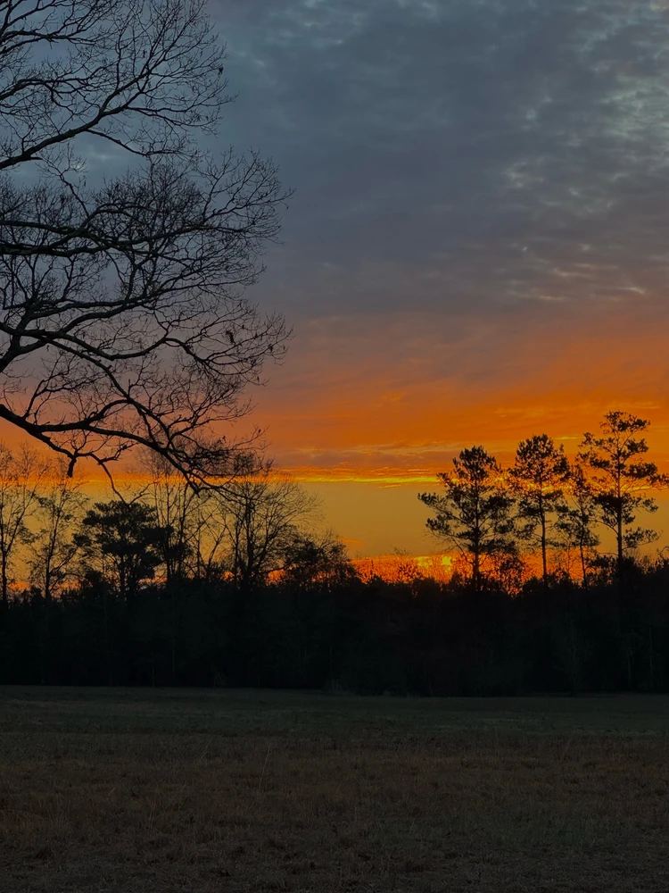 Image uploaded by Rawrrae