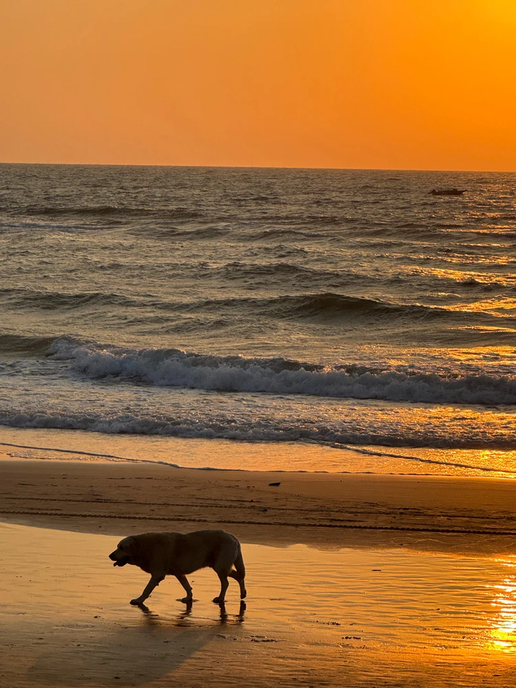 GIF uploaded by Karan