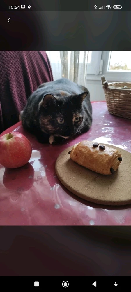 Image uploaded by Nathalie