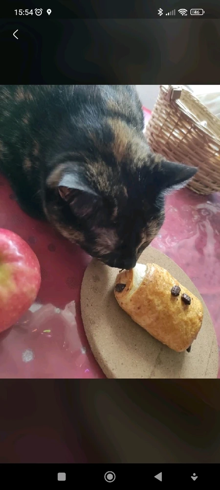 Image uploaded by Nathalie