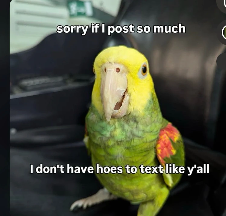 GIF uploaded by Kaye