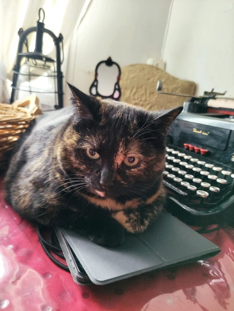 GIF uploaded by Nathalie