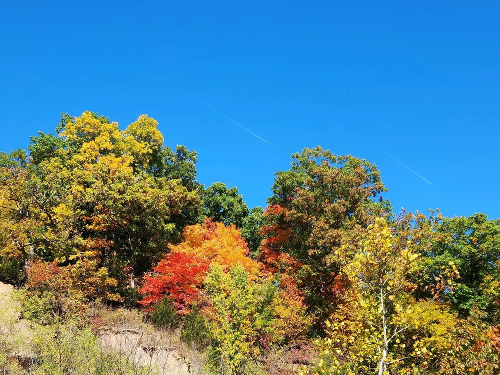 GIF uploaded by Mike