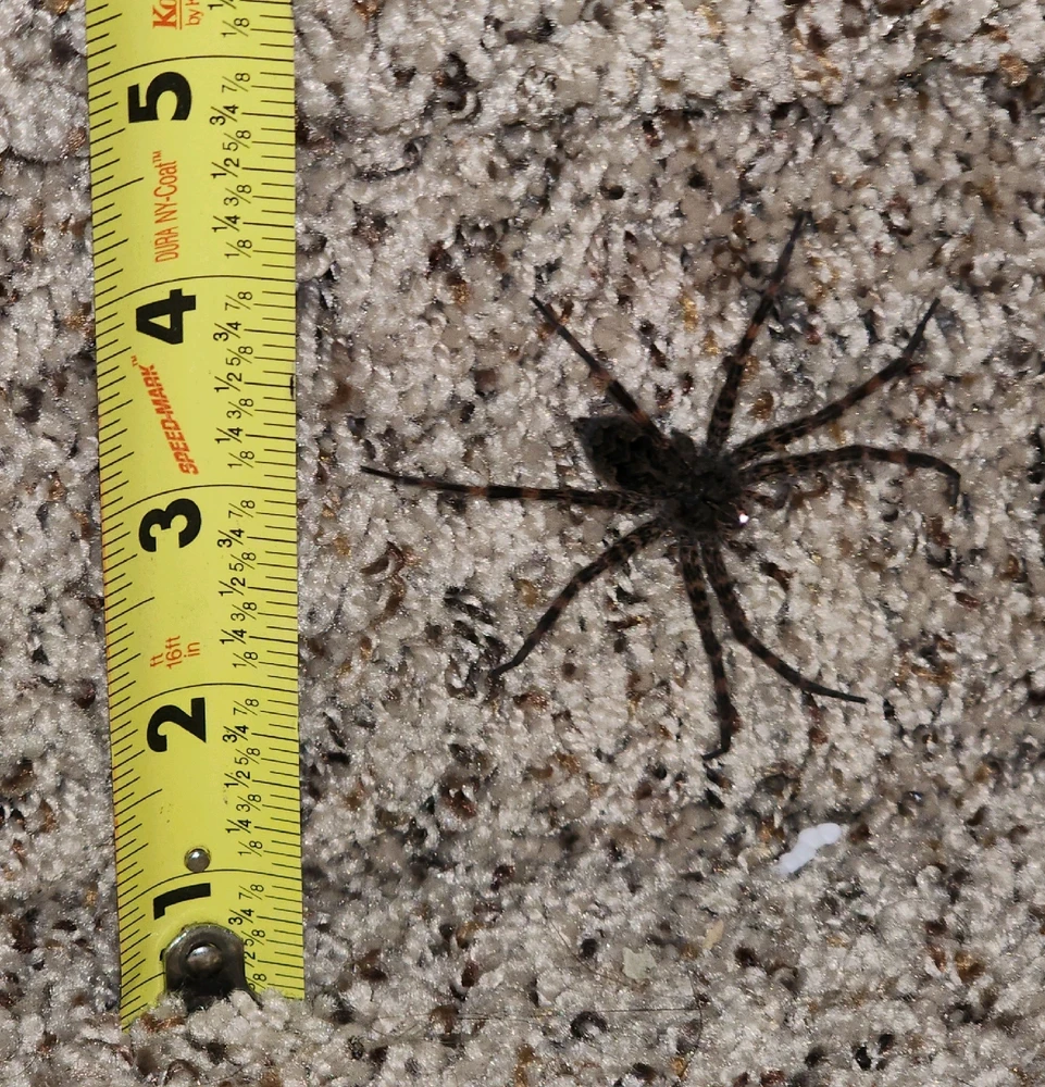 GIF uploaded by Mike