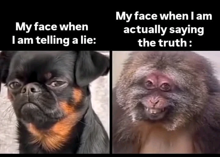 GIF uploaded by Chrif