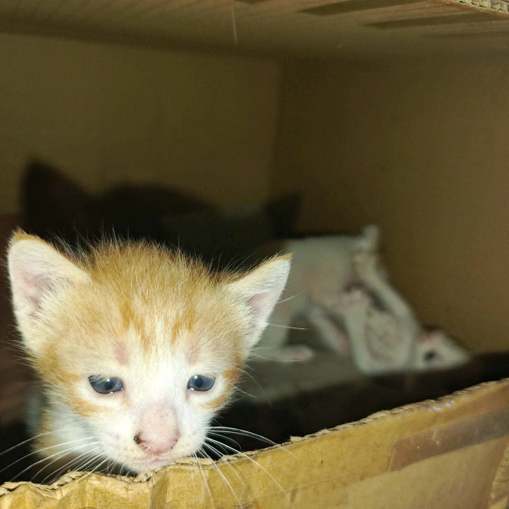 GIF uploaded by April