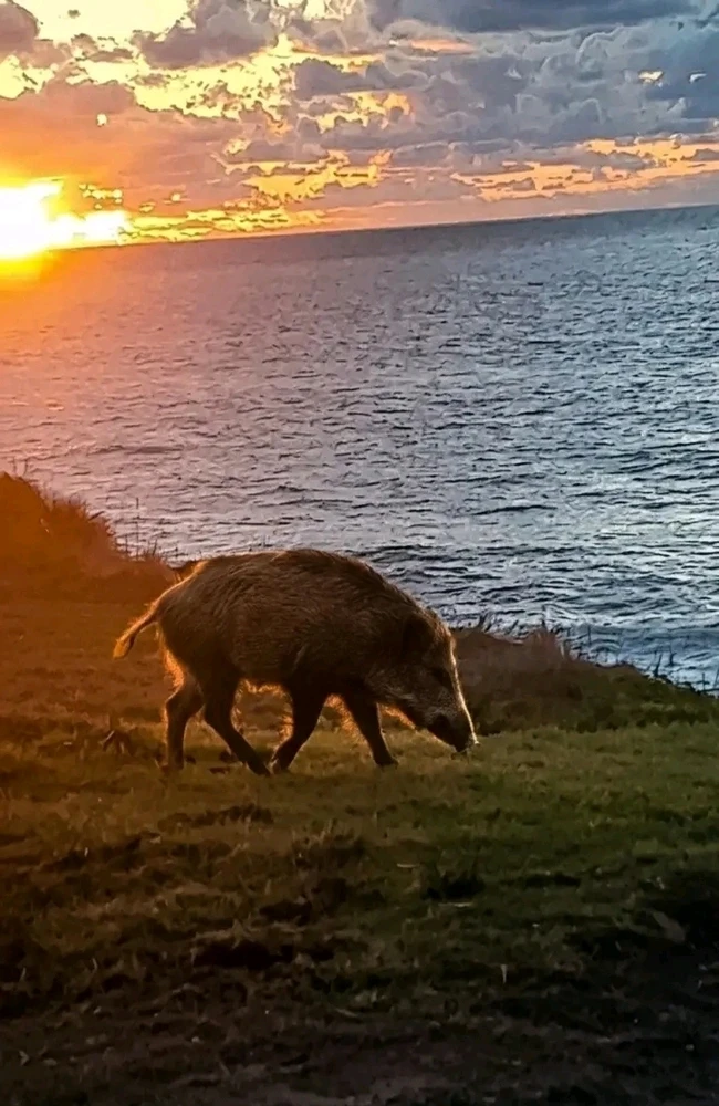 GIF hochgeladen von Zakaria Ouldkhyi
