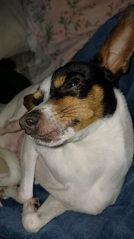 GIF enviado por Lale