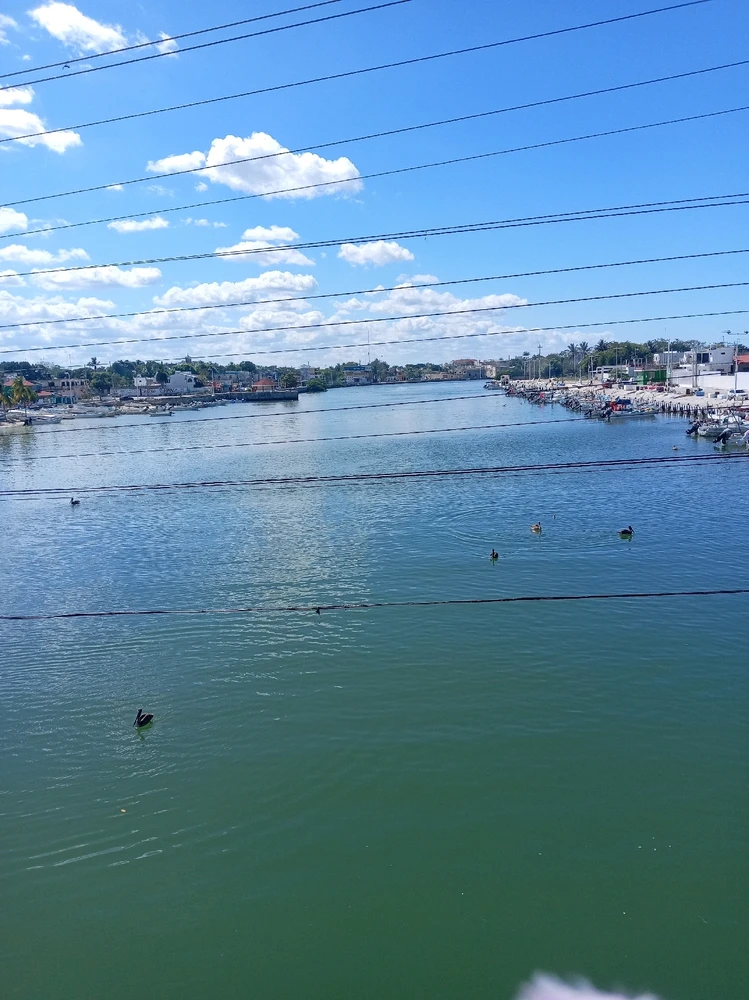 GIF subido por Lilibeth