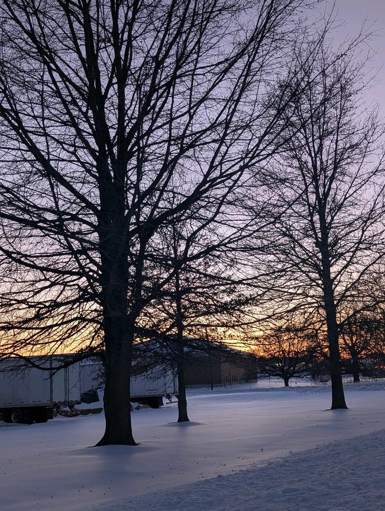 Image uploaded by Maddie