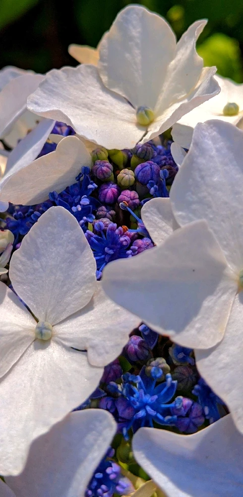 GIF uploaded by Chris