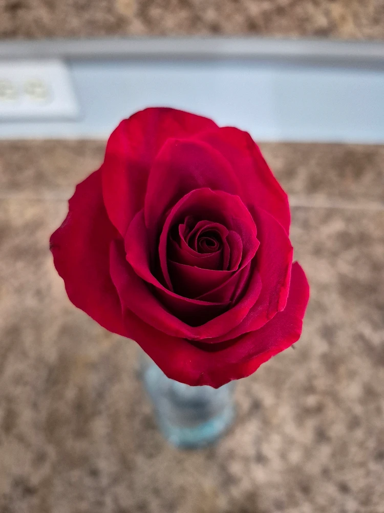 GIF uploaded by Victoria