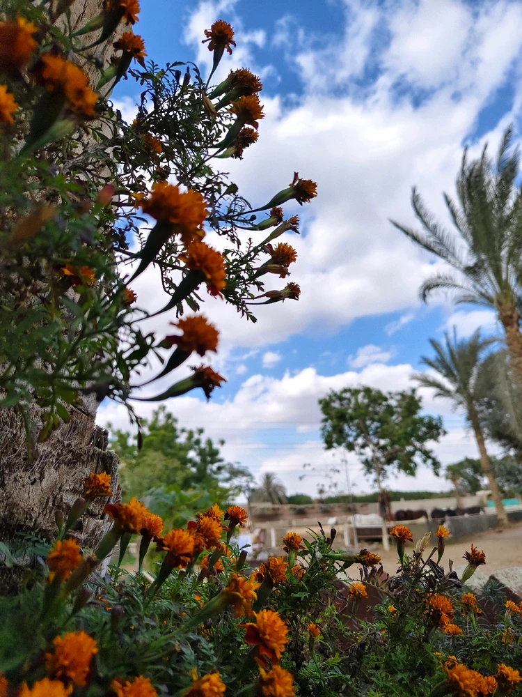 GIF diunggah dening Mohamed Yousry