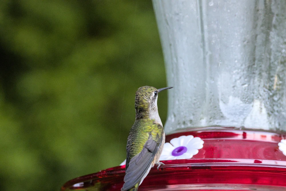 Image uploaded by Casper