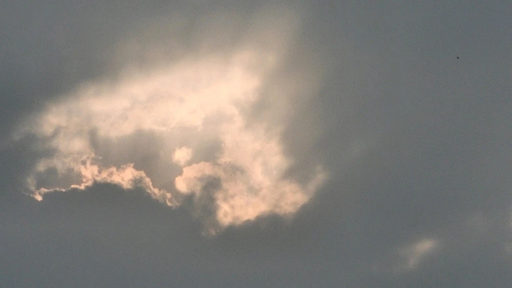 Image uploaded by Aum