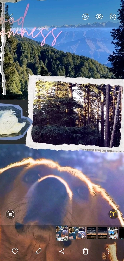 Image uploaded by Aum