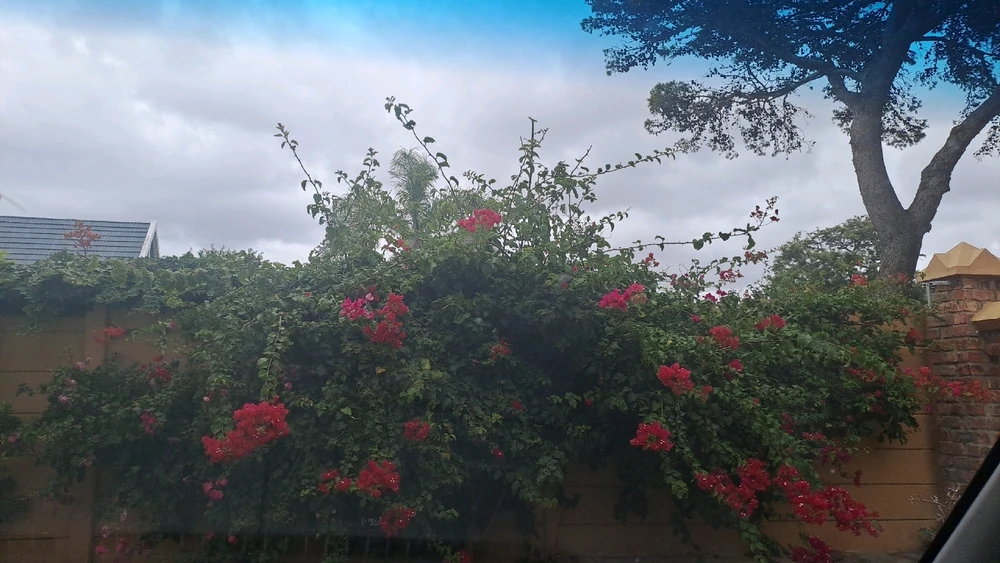 GIF uploaded by Sandz