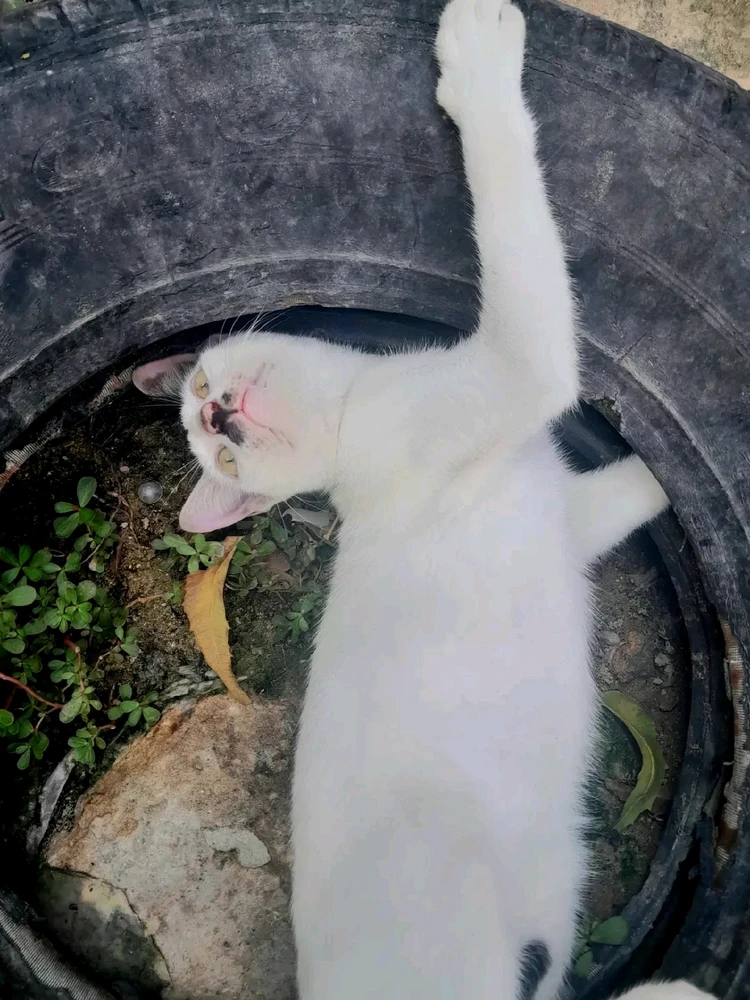 Image uploaded by Zahra