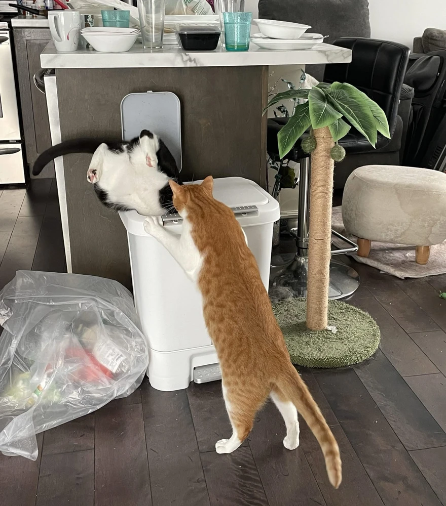 GIF uploaded by Klaudia