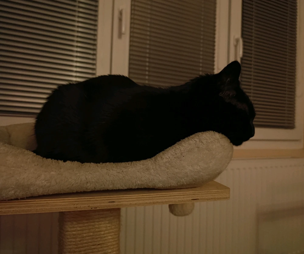 GIF nahrál ⭕⭕ Hlubina