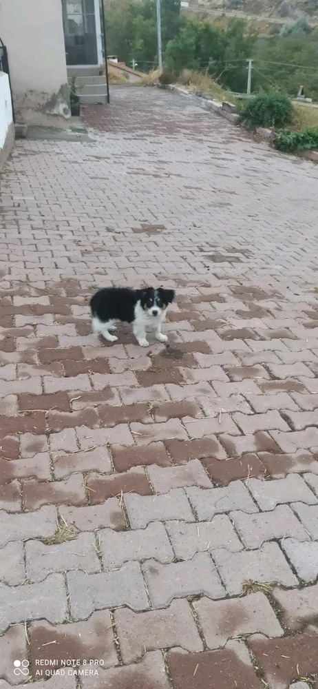 GIF uploaded by Sami