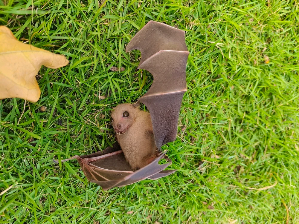 GIF diunggah oleh Okta S