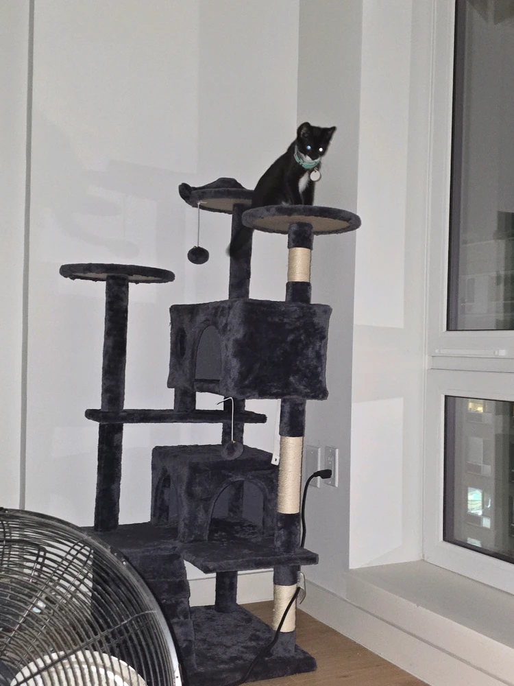 Image uploaded by Clyde