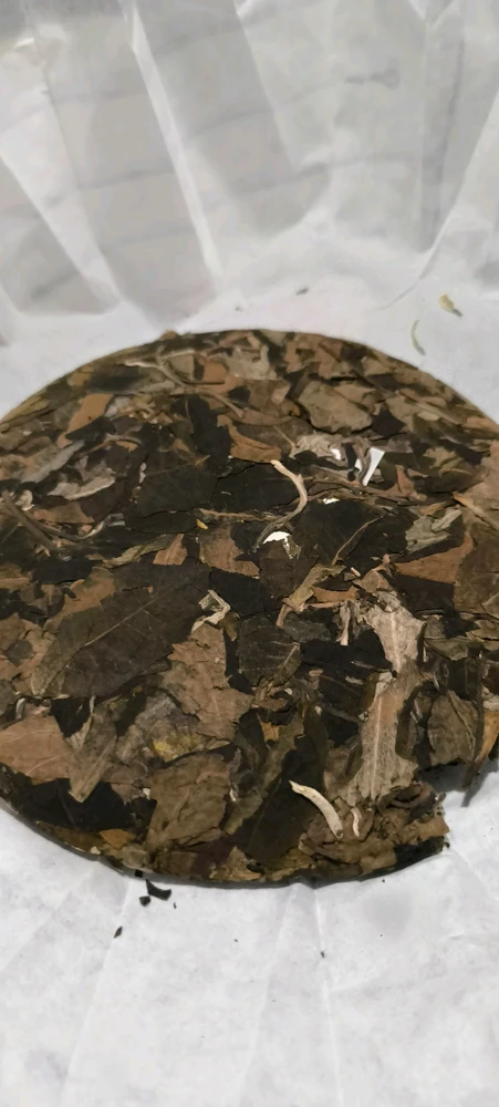 Фото загрузил Лу