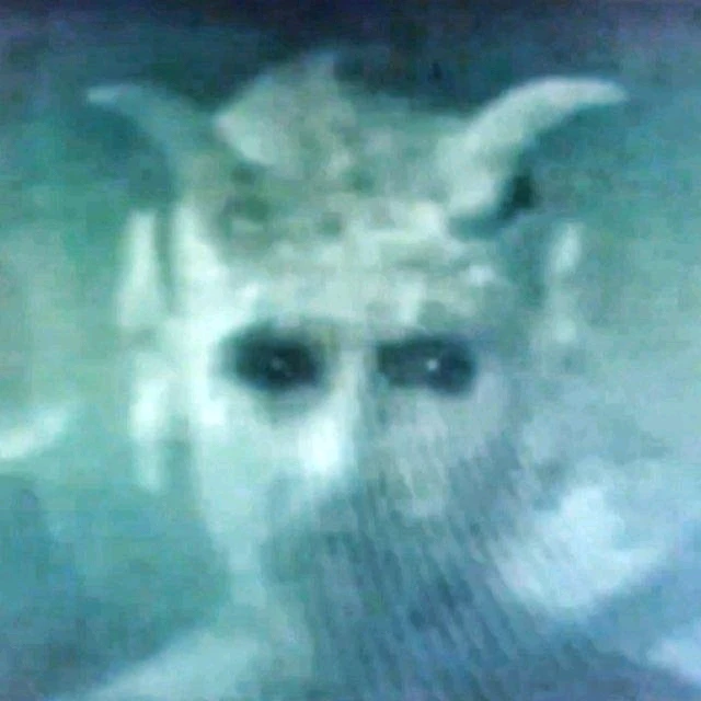 Image uploaded by David