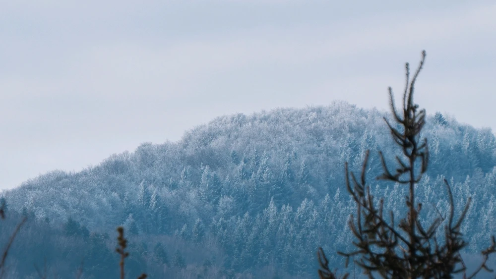 GIF încărcat de Andrei