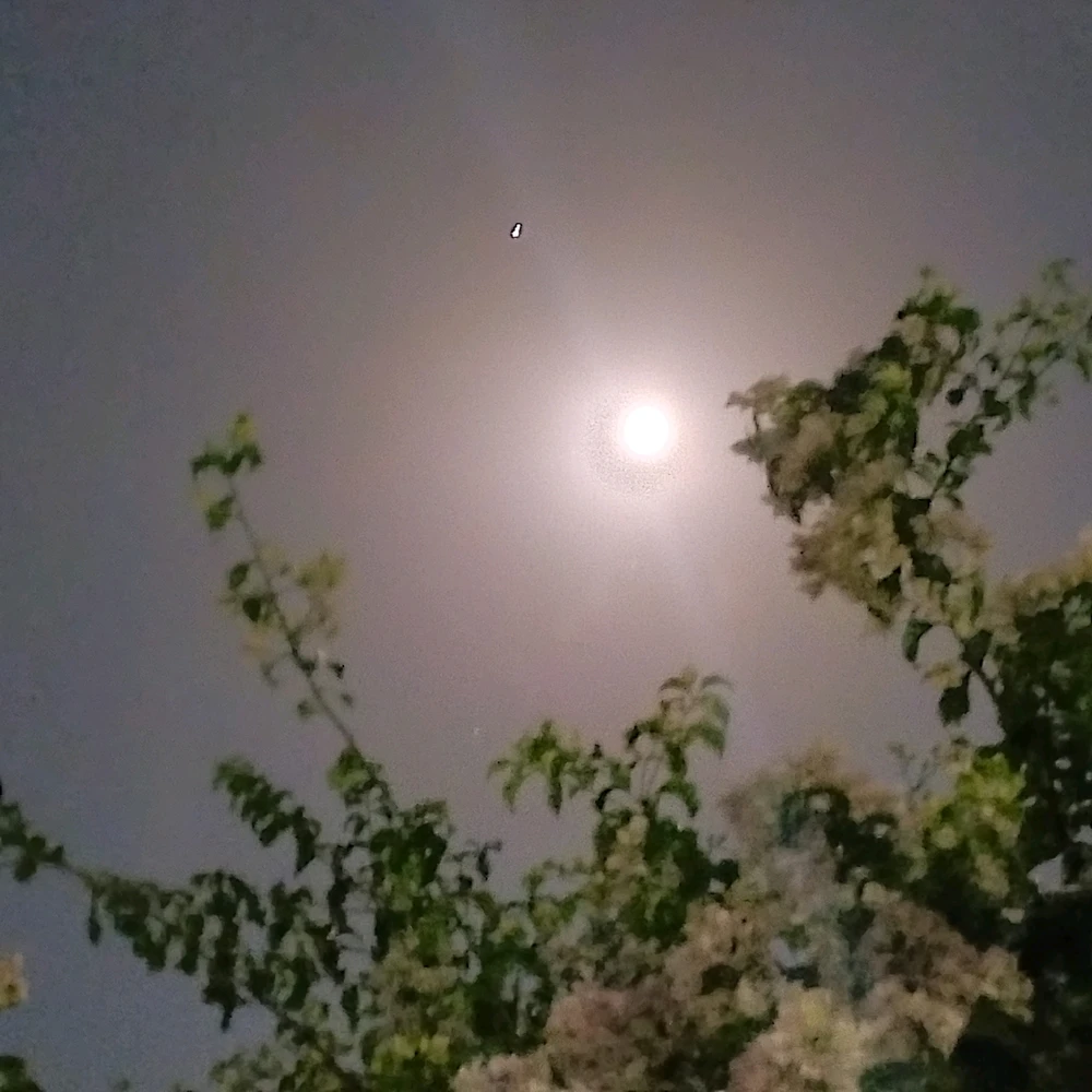 Imagem enviada por Danilo ^w^