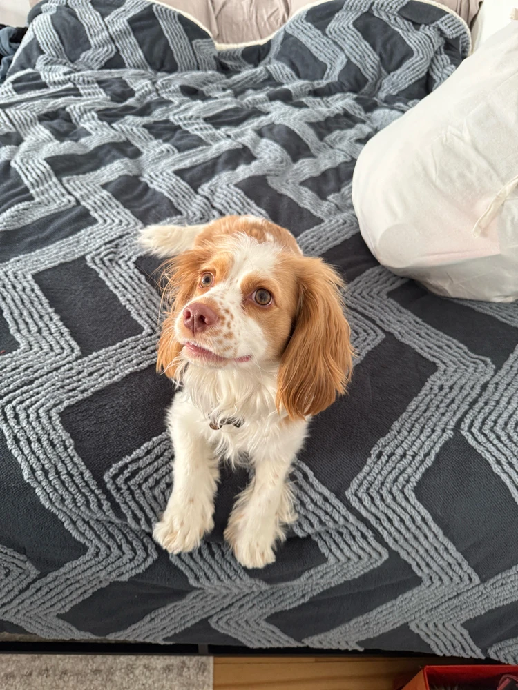 Image uploaded by Rob