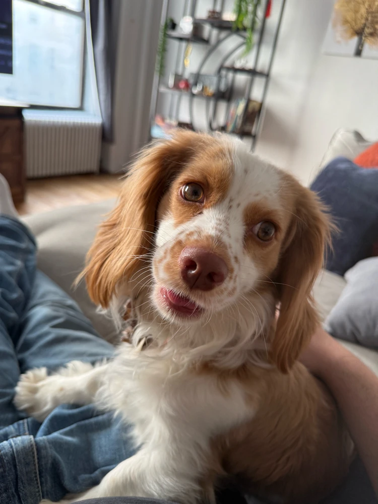 Image uploaded by Rob