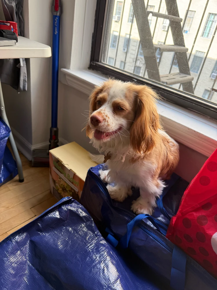 Image uploaded by Rob