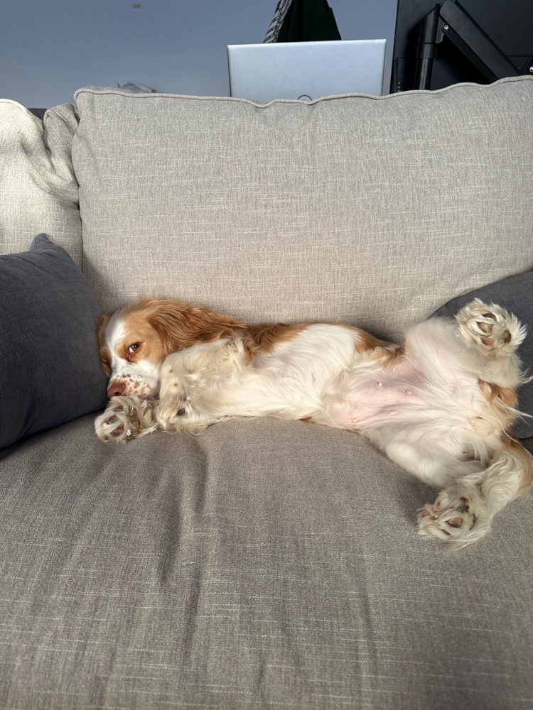 Image uploaded by Rob